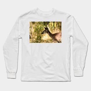 Just Passing Through - Whitetail Deer Long Sleeve T-Shirt